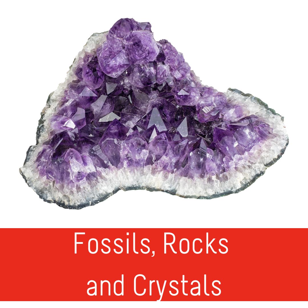 Fossils, Rocks and Crystals Plato's Wonder. Create. Discover