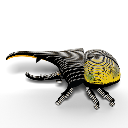 Eugy 3D Cardboard Model Kit Hercules Beetle
