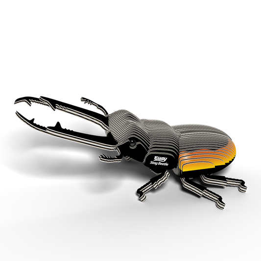 Eugy 3D Cardboard Model Kit Stag Beetle