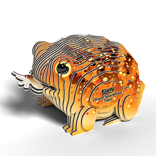 Eugy 3D Cardboard Model Kit Desert Spadefoot Toad