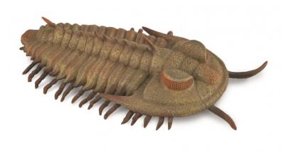 CollectA Dinosaur Figurine Redlichia Rex Trilobite