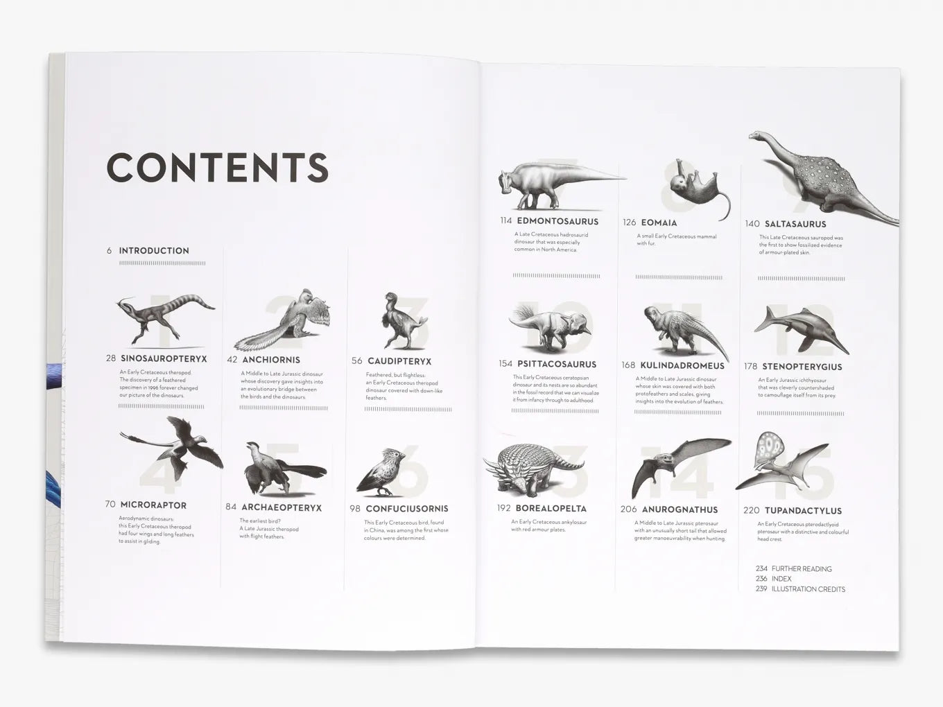 Dinosaurs by Michael J Benton