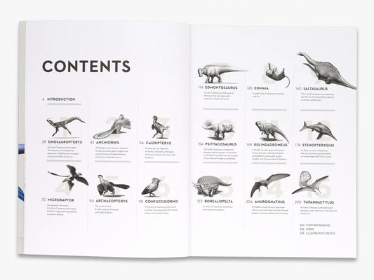 Dinosaurs by Michael J Benton