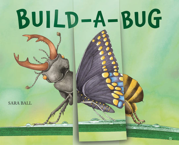 Build-A-Bug by Sara Ball Board Book