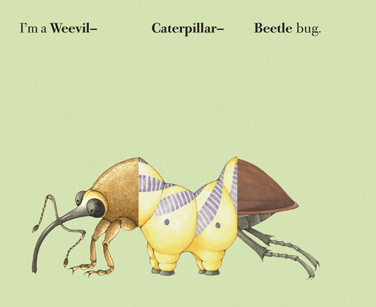Build-A-Bug by Sara Ball Board Book
