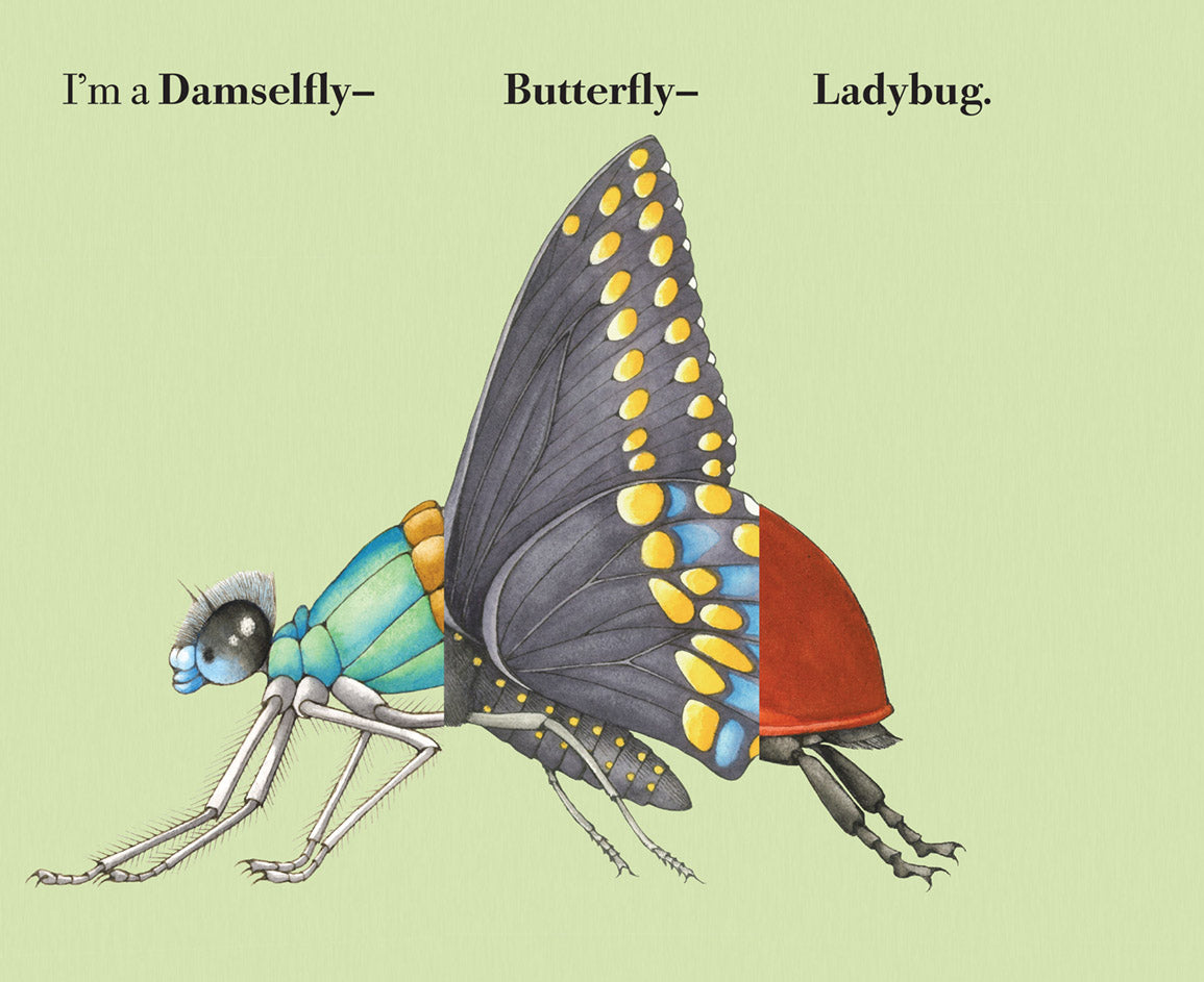 Build-A-Bug by Sara Ball Board Book