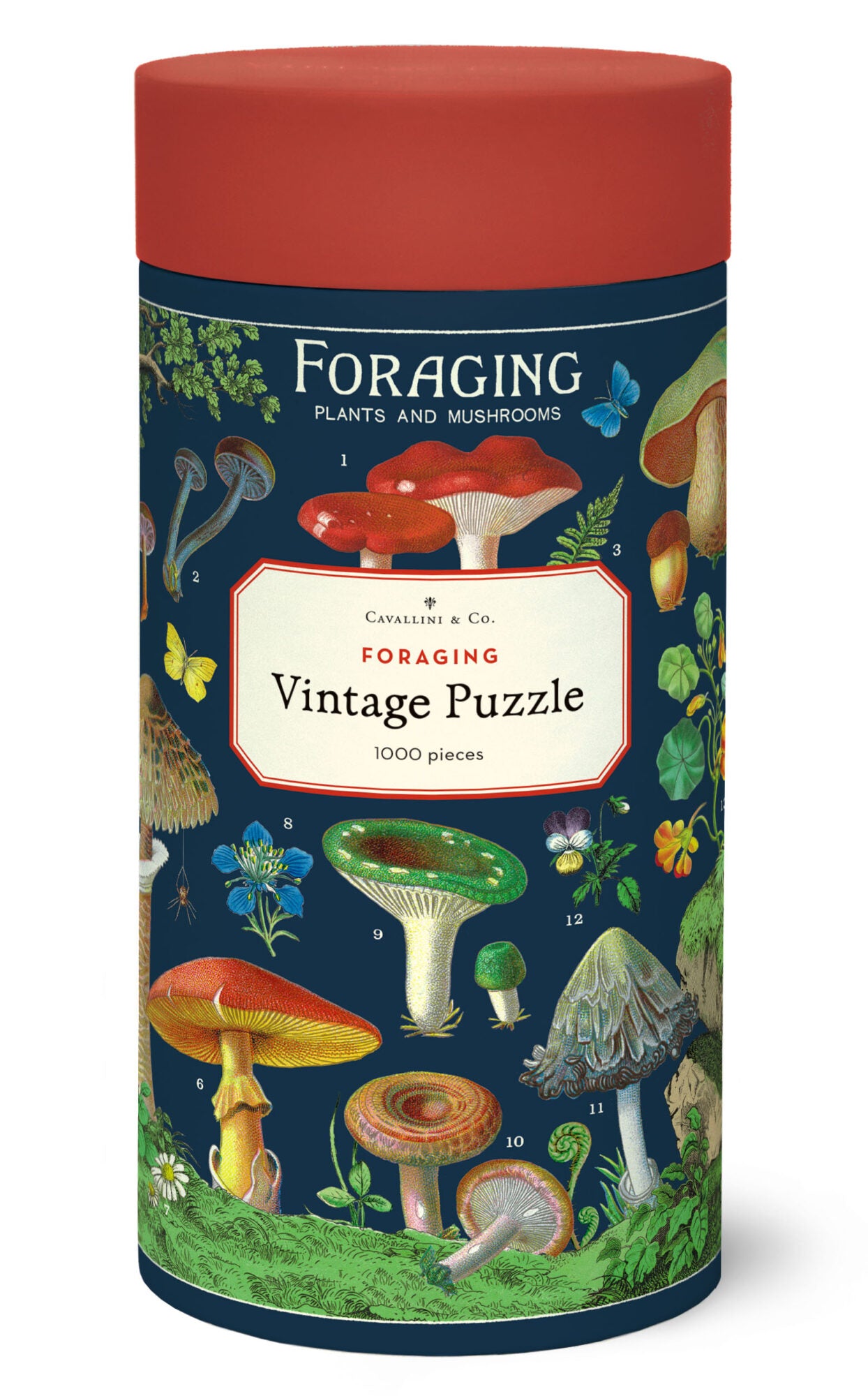 Cavallini Vintage in Tube 1000pc Jigsaw Puzzle Foraging