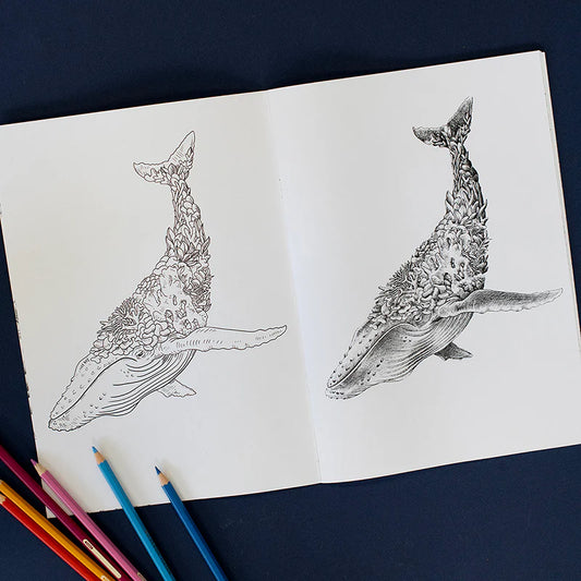 Marini Ferlazzo Australian Bushwalk Wildlife Colouring Book