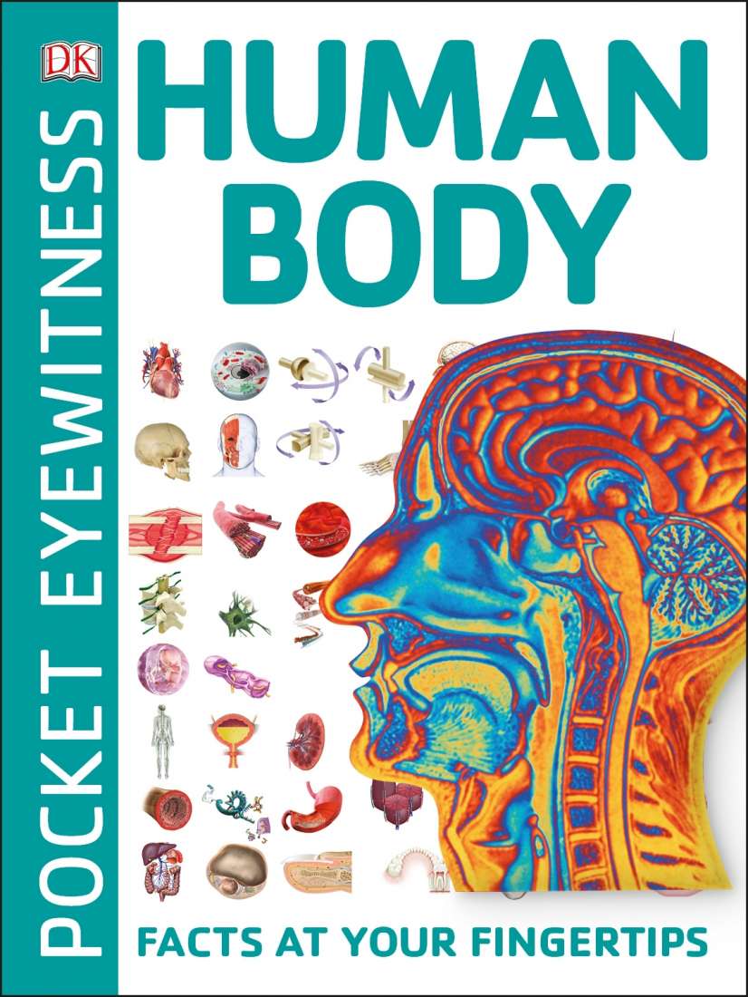 Cover of Pocket Eyewitness: Human Body by DK — compact reference book with colourful visuals showing human anatomy for children.