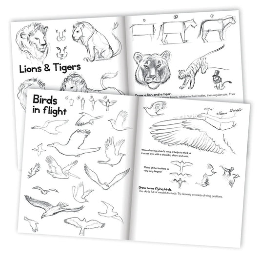 eeBoo Learn How to Draw Animals Art Book
