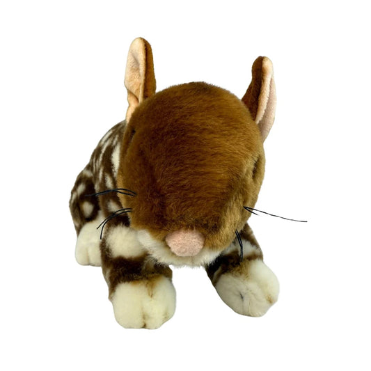Dotti 30cm Plush Eastern Quoll