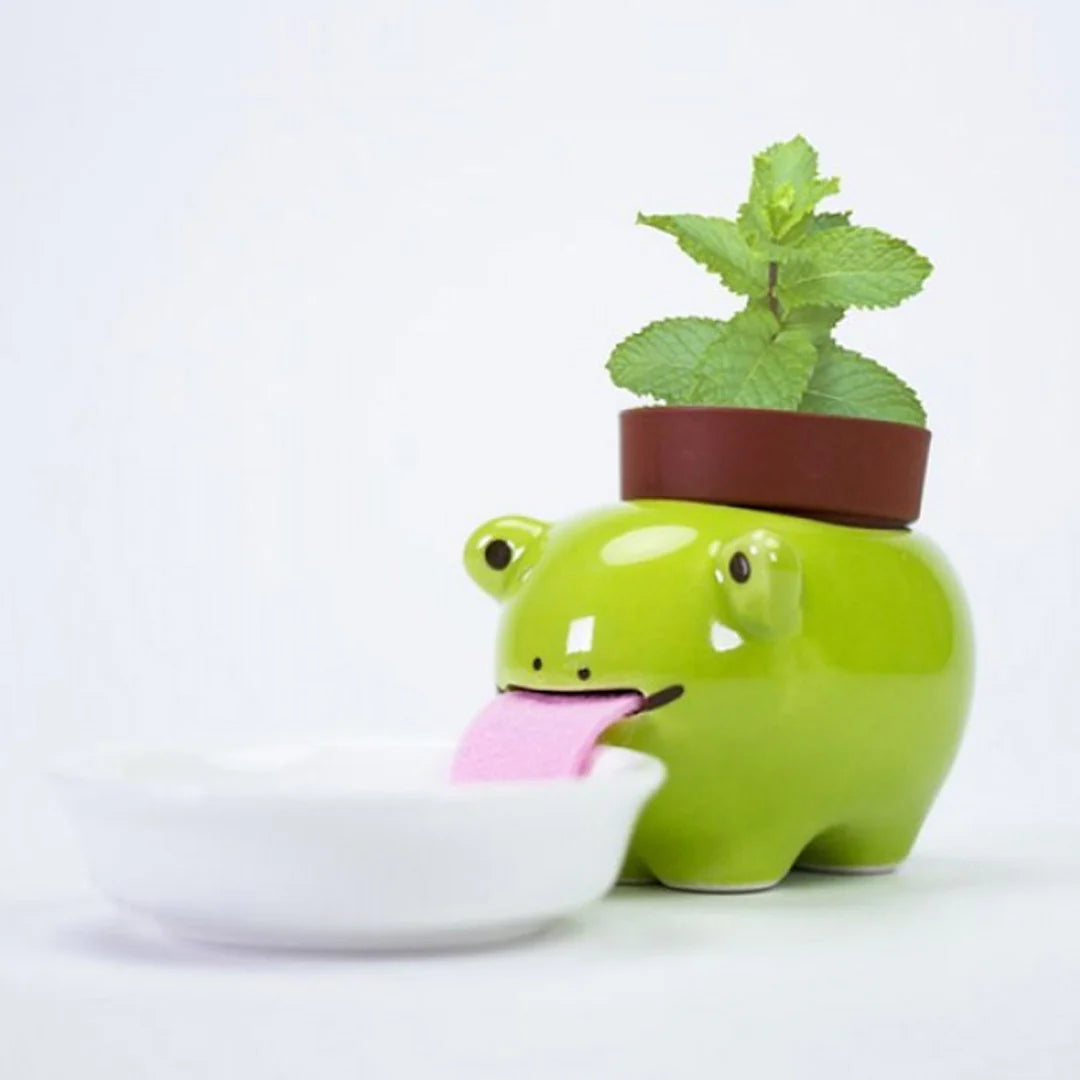 Seishin Peropon Frog Peppermint Plant Cultivation Kit