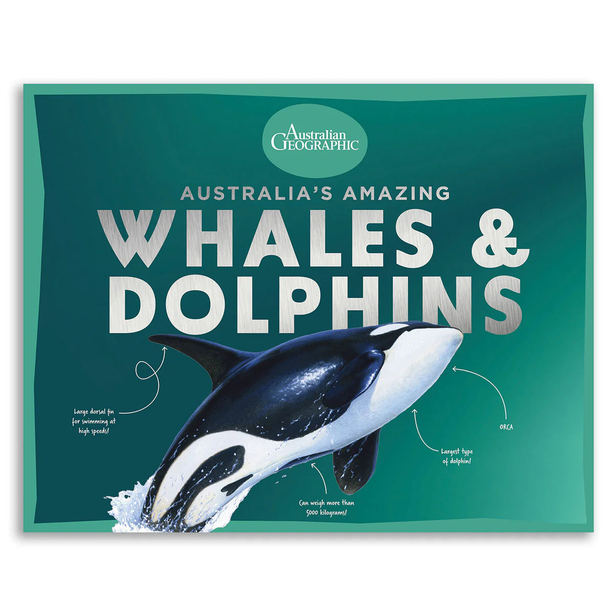 Australian Geographic Australia's Amazing Whales And Dolphins Hardcover Book