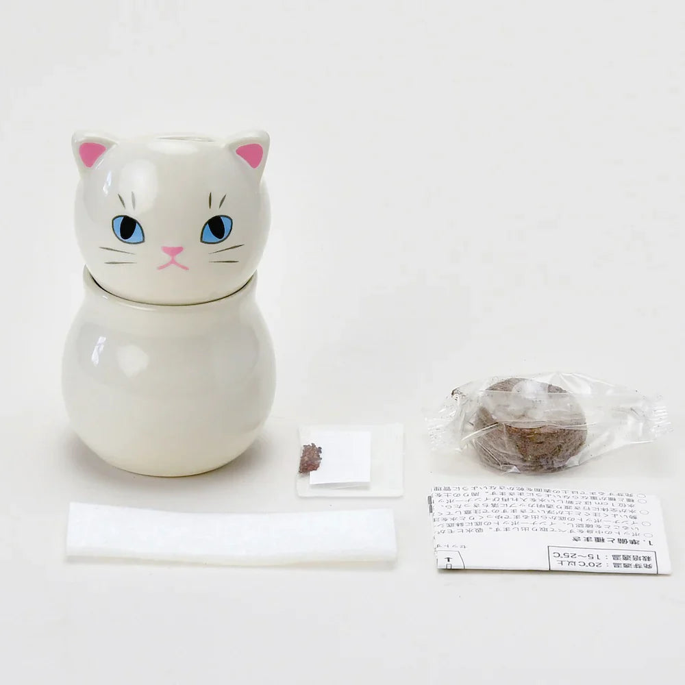 Seishin Coro Coro Cat Wild Strawberry Growing Kit