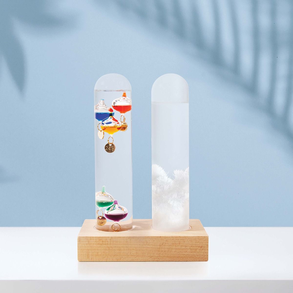 Maverick Dual Weather Station