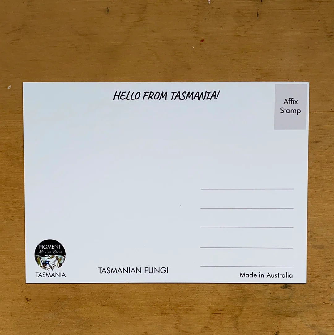 Pigment by Monica Reeve Postcard Tasmanian Fungi