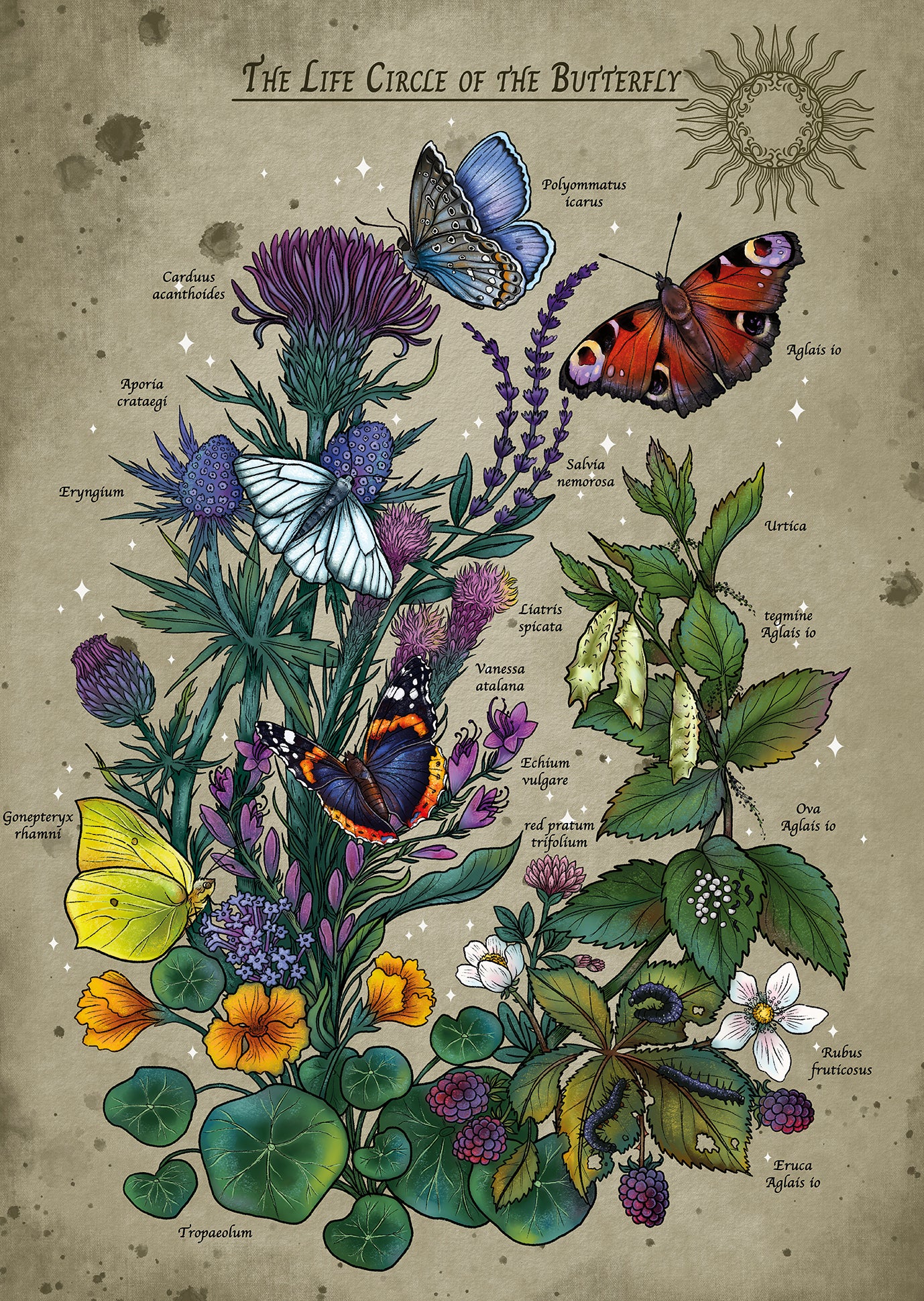 Ravensburger 1000pc Jigsaw Puzzle Lifecircle Butterfly