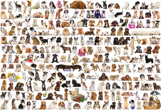 Eurographics 2000pc Jigsaw Puzzle The World of Dogs