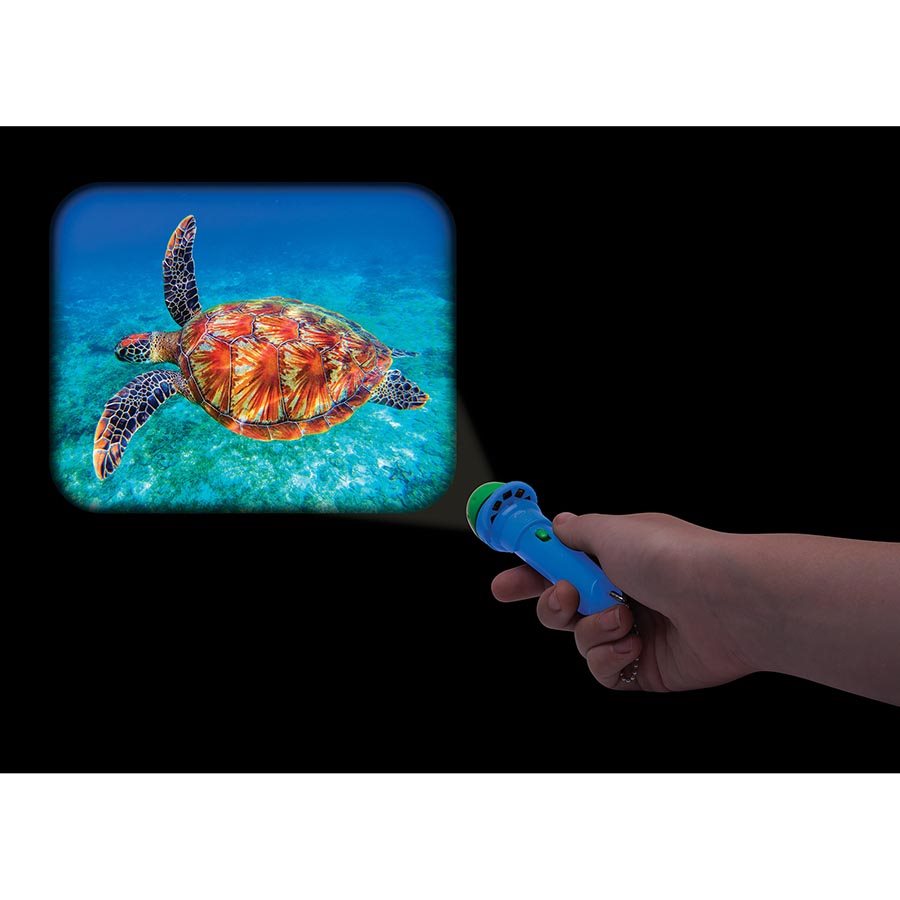 IS Gift Torch Projector Animalia Kingdom