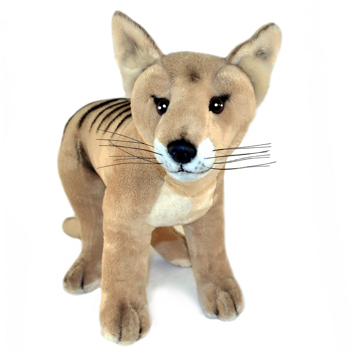 Plush Tasmanian Tiger Sammy 24cm