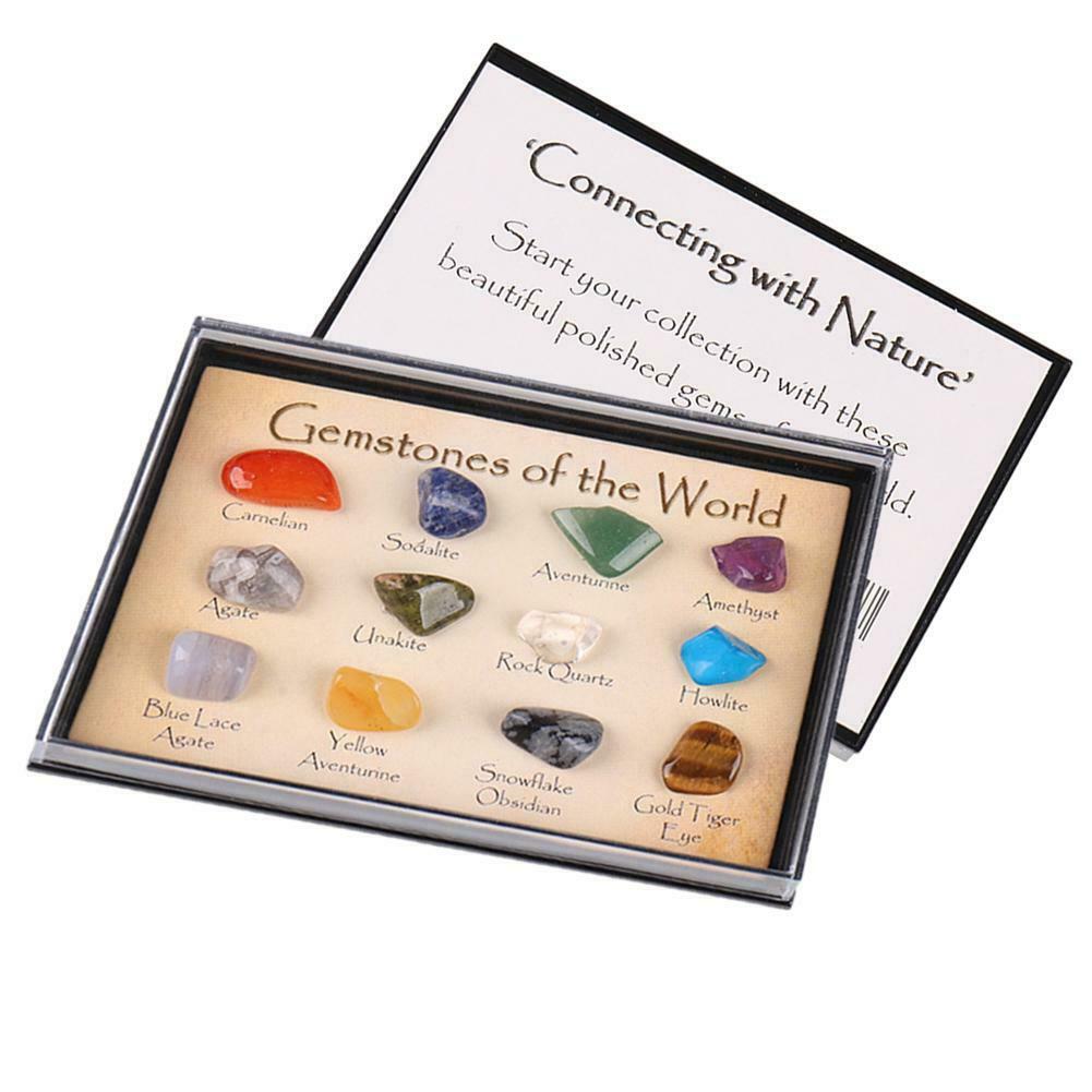 British Fossils Gemstones of the World Mini Selection