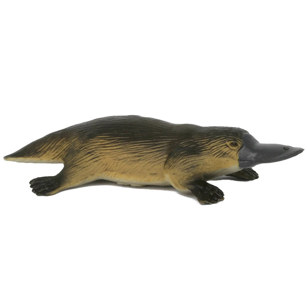 Zoos Victoria Plastic Platypus
