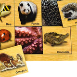 Wooden Matching Animal Puzzle