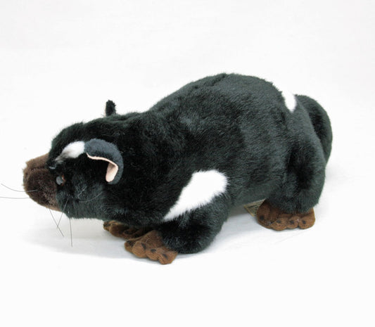 Diego 24cm Plush Tasmanian Devil