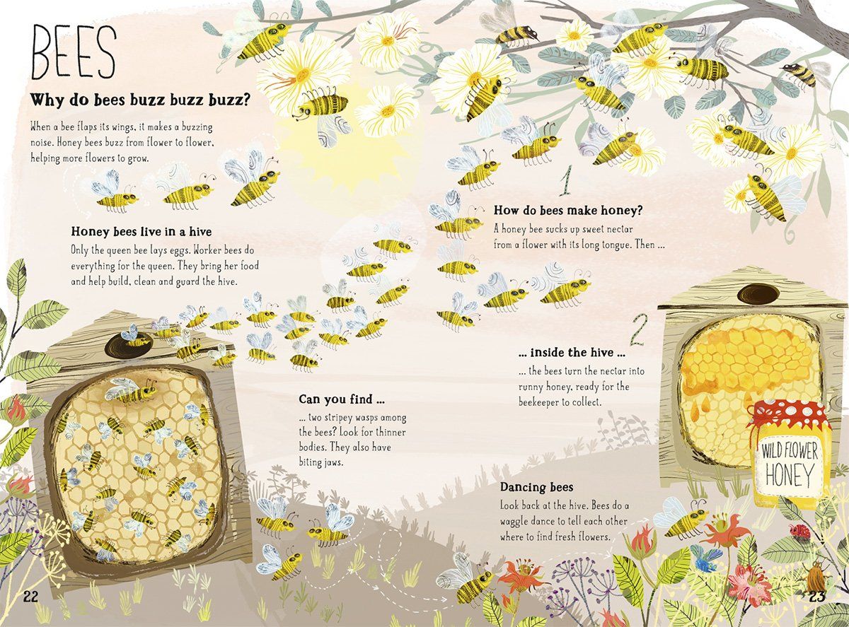 Big Book Of Bugs by Yuval Zommer Hardcover Book