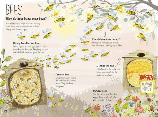 Big Book Of Bugs by Yuval Zommer Hardcover Book