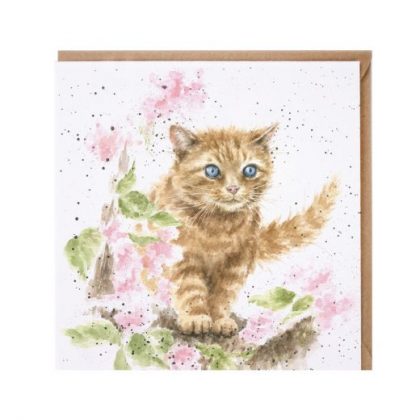 Wrendale Country Set Greeting Card The Marmalade Cat