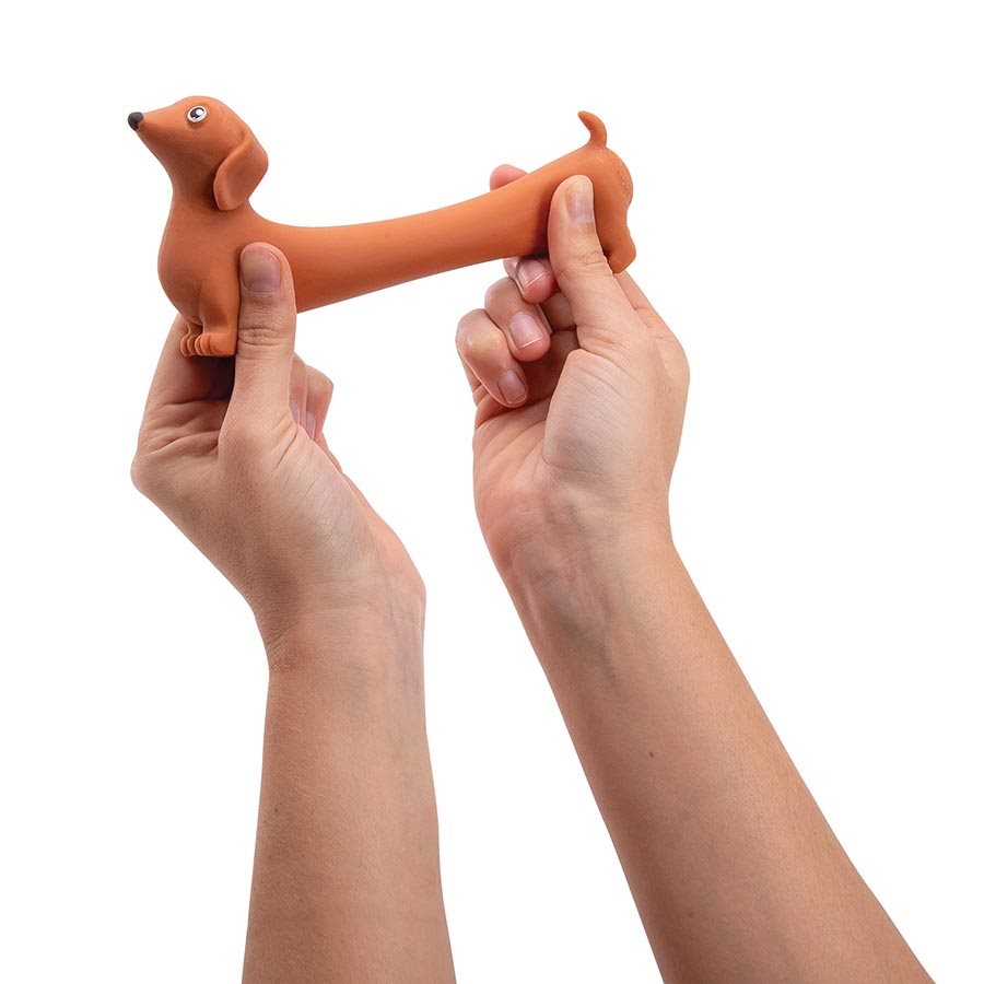 Discovery Zone Stretchy Sausage Dog Sensory Toy