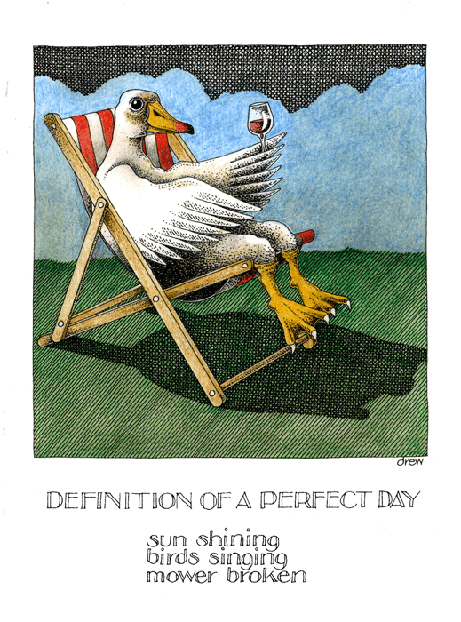Simon Drew Greeting Card Perfect Day