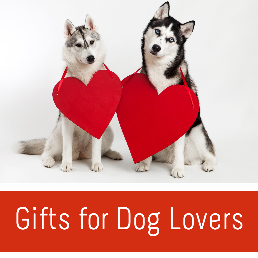 International Dog Day 26th August 2024