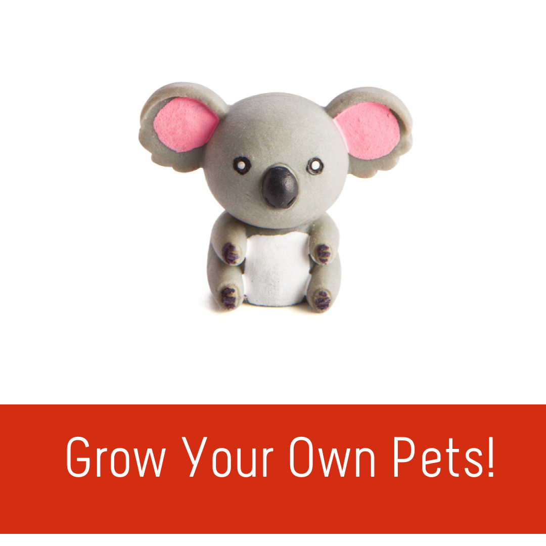 Toys that grow when immersed in water!