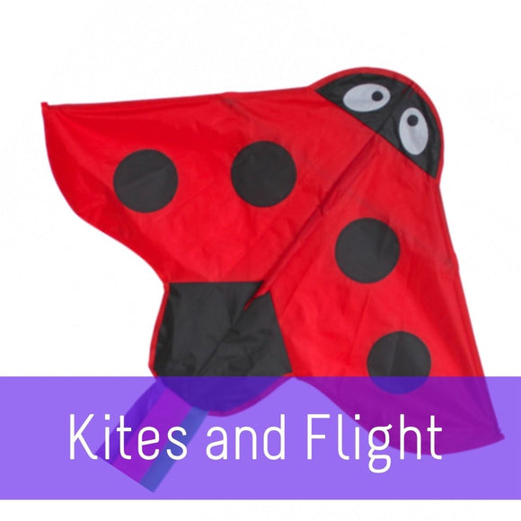 Kites And Flight