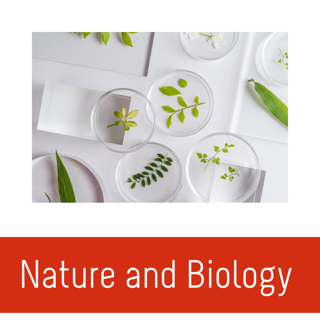 Nature And Biology