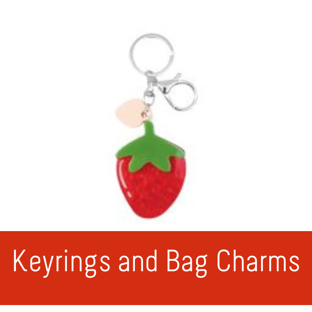 Keyrings and Bag Charms