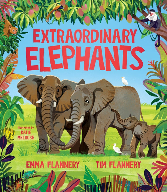 Extraordinary Elephants by Emma Flannery, Tim Flannery and Katie Melrose Hardcover Book