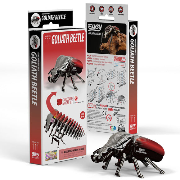 Eugy 3D Cardboard Model Kit Goliath Beetle