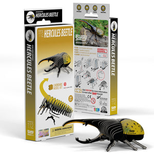 Eugy 3D Cardboard Model Kit Hercules Beetle