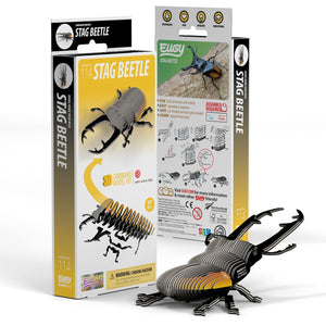 Eugy 3D Cardboard Model Kit Stag Beetle