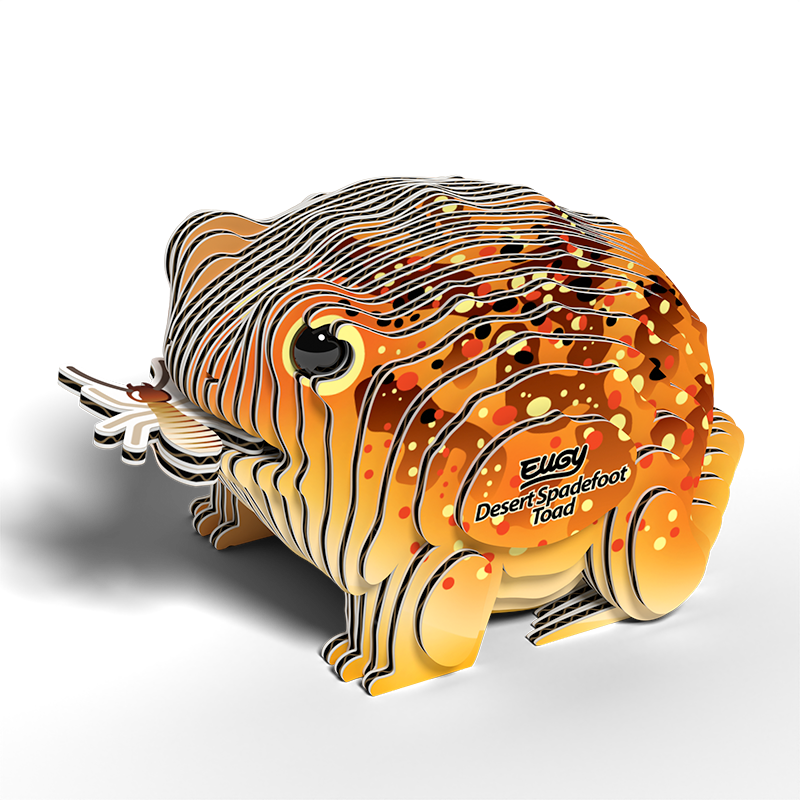 Eugy 3D Cardboard Model Kit Desert Spadefoot Toad