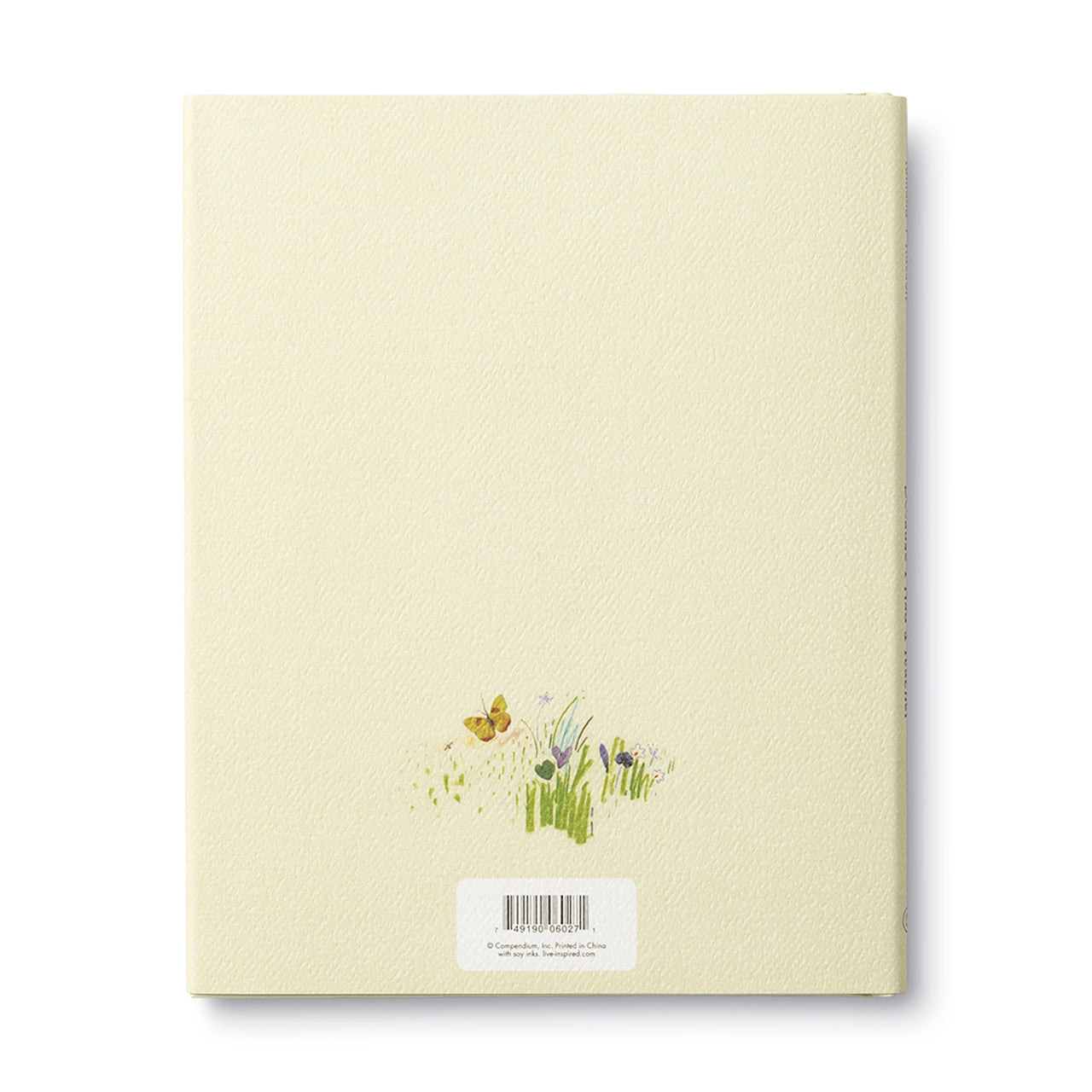 Because I Had A Teacher By Kobi Yamada