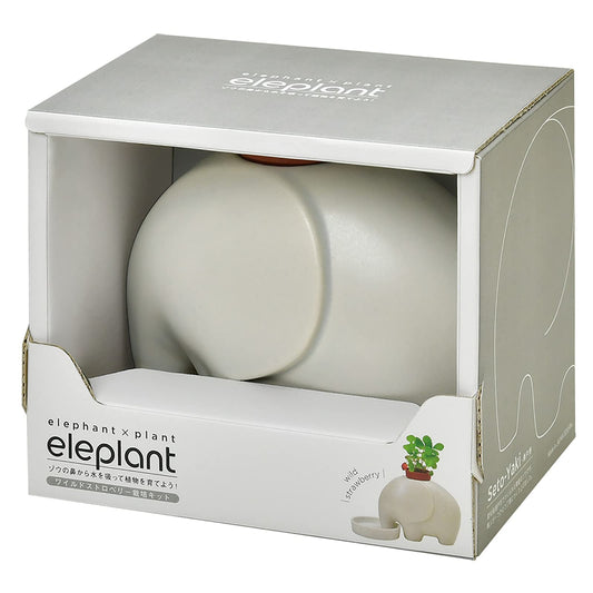 Seishin Eleplant Wild Strawberry Plant Cultivation Set