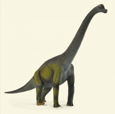 CollectA Dinosaur Figurine Brachiosaurus