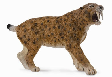 CollectA Dinosaur Figurine Smilodon