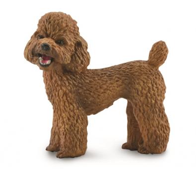 CollectA Dog Figurine Poodle