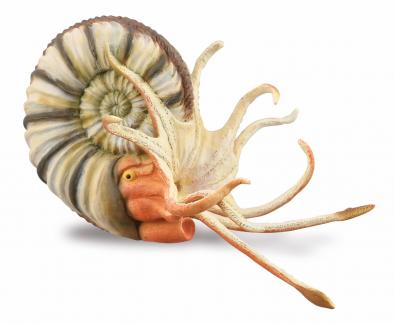 CollectA Dinosaur Figurine Pleuroceras Ammonite