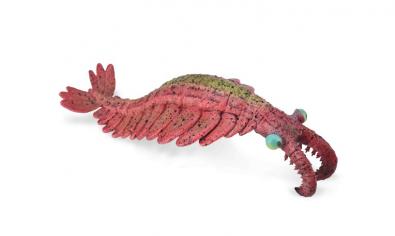 CollectA Dinosaur Figurine Anomalocaris